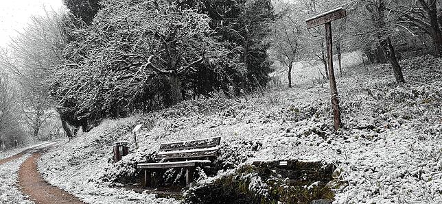 Bild 1: So schön war der erste Schnee im Hegau!