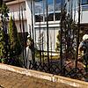 Die Einsatzkräfte der Feuerwehr löschen eine Hecke. Durch Hitze und Trockenheit steigt auch die Gefahr für einen Waldbrand. Mit diesen ...