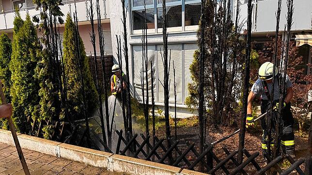 Die Einsatzkräfte der Feuerwehr löschen eine Hecke. Durch Hitze und Trockenheit steigt auch die Gefahr für einen Waldbrand. Mit diesen ...