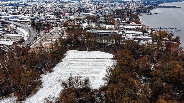 Der winterliche Blick auf das Herzengelände: Vorne das noch geschützte Biotop Streuhau, dahinter das Bora-Hotel.