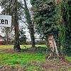 Wie schon im Baugebiet Ölgarten I sollen auch im westlich davon gelegenen Ölgarten II nach Willen des Vorhabenträgers familiengerechte ...