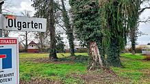 Wie schon im Baugebiet Ölgarten I sollen auch im westlich davon gelegenen Ölgarten II nach Willen des Vorhabenträgers familiengerechte ...