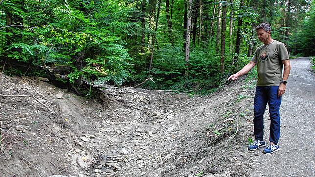 Stadtförster Jörn Burger zeigt auf eine Stelle, wo der Muldenbach am 26. Juni Äste und Baumstämme mitriss.