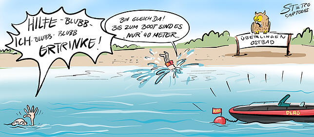 Bild 8: Überlingen: Das war das Jahr 2019 in Karikaturen