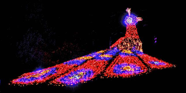 Bild 1: Lichter tanzen auf der Mainau: So haben Sie die Blumeninsel im Bodensee noch nie gesehen