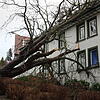 Sturm &bdquo;Sabine&ldquo; hat auch in St. Georgen viele Schäden angerichtet. Bilder: Patrick Ganter
