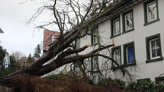 Sturm &bdquo;Sabine&ldquo; hat auch in St. Georgen viele Schäden angerichtet. Bilder: Patrick Ganter