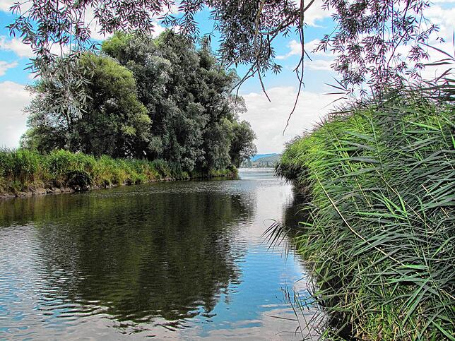 Bei Radolfzell gelangt die Aach und damit das Donauwasser in einen Seitenarm des Bodensees und schliesslich in den Rhein.
