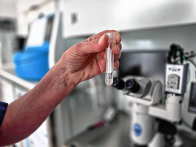 Mit Samenspenden aus Deutschland oder Dänemark oder denen des eigenen Partners, werden die entnommenen Eizellen der Patienten befruchtet.