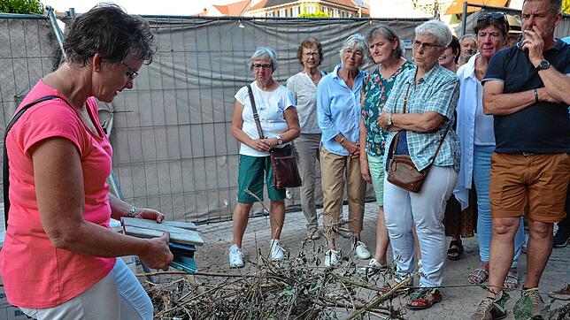 Monika Gehweiler zeigt den SÜDKURIER-Lesern bei der Führung die neuen Klinker für die Fassade des Rathauses.
