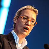 „Auf schwierigem Terrain.“ Zitat von Alice Weidel nach dem schlechten Abschneiden der AfD in Überlingen bei der Europawahl 2019.