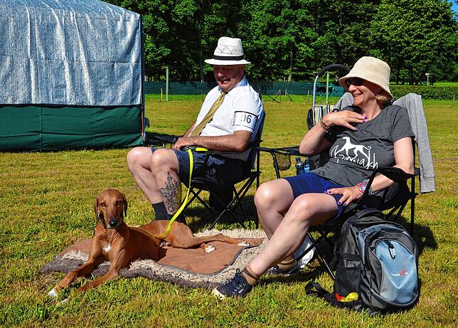 Bild 19: Bilder vom Jubiläumswochenende des Windhundrennclubs Bodensee