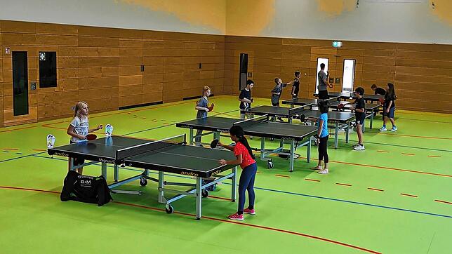 Der Tischtennissport zieht in Grüningen zunehmend viele Kinder und Jugendliche an. Nach mauen 15 Jahren treten in der Saison ...
