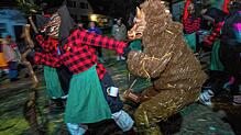 Bild : Bilder vom Nachtumzug beim Narrentreffen in Thalheim