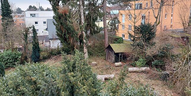Blick von oben auf das Grundstück Renkenweg 3: Dort liegen die Stämme der beiden gefällten Bäume, weiter hinten sind die verbliebenen ...