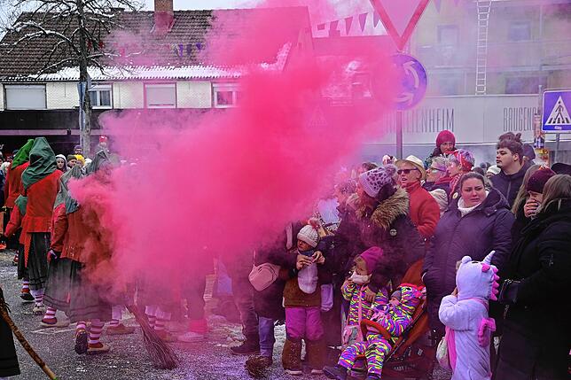 Bild 34: 75 Gruppen beim Fasnachtsumzug in St. Georgen: Wir haben die Bilder