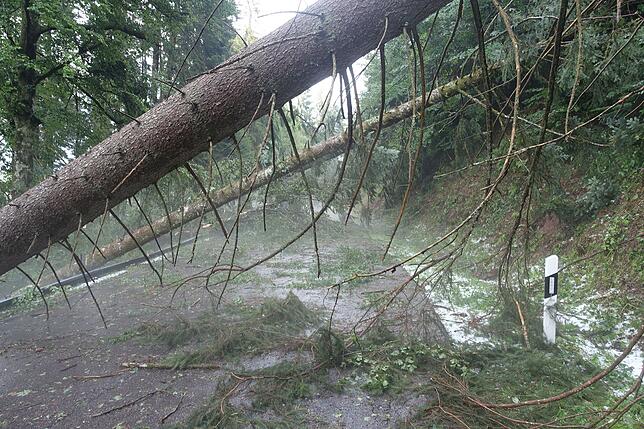 Bild 8: Die Folgen des Unwetters rund um Bonndorf am Freitag, 26. Juli 2019