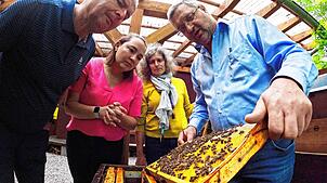 Schauen sich gemeinsam eine sogenannte Beute an (von links): Wolfgang Schüssler, Vorsitzender des Imkervereins Markdorf, Denise Keim und ...