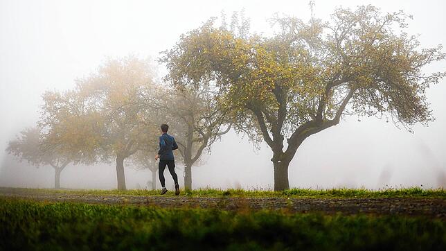 Regen und Nebel erwarten Meteorologen zum Herbstanfang im Südwesten – der Spätsommer könnte sich aber noch einmal blicken lassen.