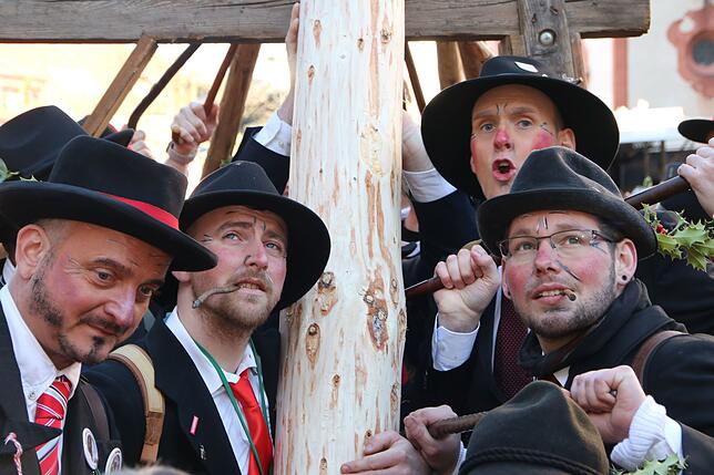 Bild 23: Musik, gute Stimmung und Tradition: Bilder vom Wäldertag in Bad Säckingen