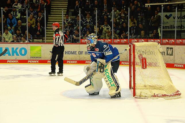 Bild 10: Fans, fliegende Fäuste und Feiern &ndash; Bilder vom 5:1 der Wild Wings gegen Straubing