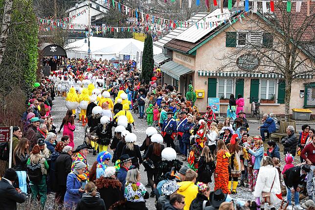 Bild 22: Fastnacht auf dem Schienerberg: Tausende feiern den Höriumzug mit kreativen Mottos