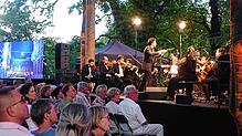 Unter den Bäumen auf dem lauschigen Inseli in Rheinfelden spielt 2024 das City Light Symphony Orchestra. Foto: Roswitha Frey