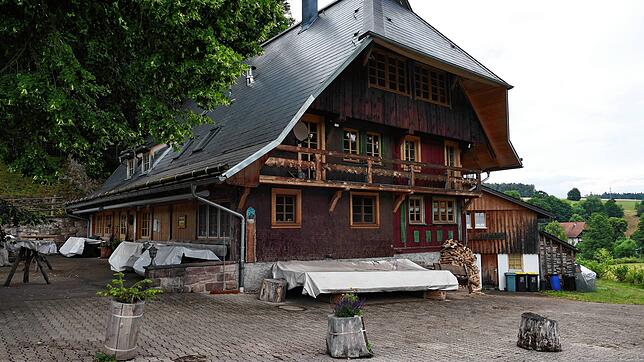 Von Bäumen beschattet liegt die Waldauschänke am Fuß der Burgruine Waldau.