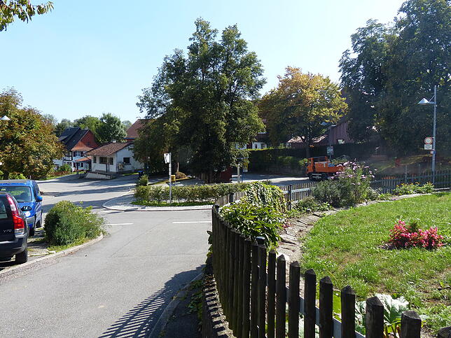 Bild 40: Bilder der &bdquo;Aktion Wanderlust&ldquo; von Verschönerungsverein und SÜDKURIER Überlingen