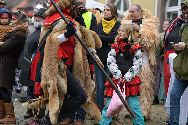 Bild 4: Tausende Hästräger und Musiker in Pfullendorf: Bilder vom Umzug (4)