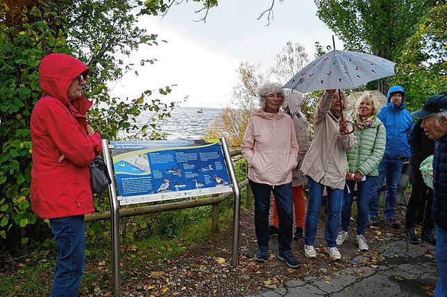 Vier Informationstafeln sollen Besucher des Stettener Ufers für Natur und Umwelt sensibilisieren.