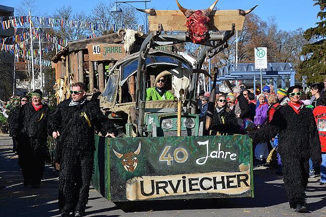 Bild 21: Bilder vom Narrentreffen der Urviecher-Zunft Bad Dürrheim: Großer Festumzug (1)