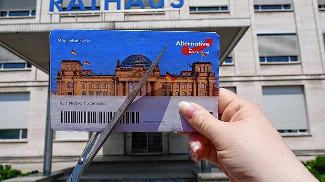 Welche Folgen hat das Urteil des Landgericht Konstanz von elf Monaten ohne Bewährung für AfD-Mann André Rehm? Der Kreisverband fordert ...