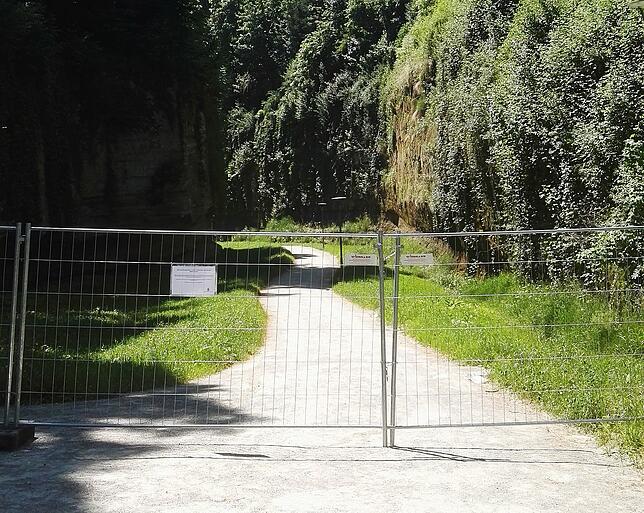 Zum Schutz des Uhu-Nachwuchses wird der Überlingen Stadtgraben regelmäßig für mehrere Wochen gesperrt. Für die Landesgartenschau hat das ...