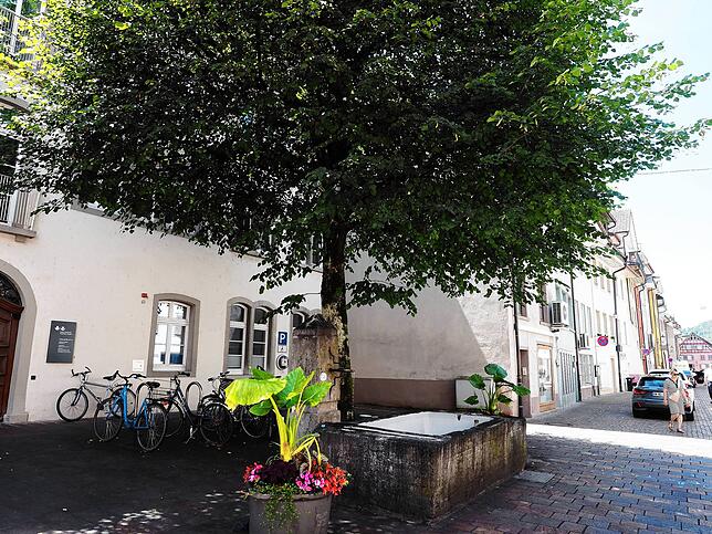 Schattenspender: Hinter dem Waldshuter Rathaus, in der Wallstraße, steht ein Brunnen unter einem Baum.