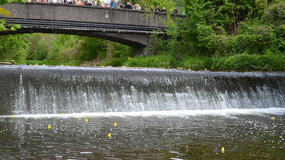 Ein Spektakel war das erste Gurtweiler Entenrennen. Wir haben die kleinen gelben Enten auf ihrer 100 Meter langen Reise begleitet.