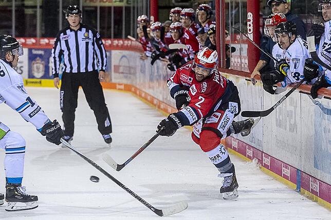 Bild 35: Die Wild Wings siegen wieder in der Deutschen Eishockey-Liga