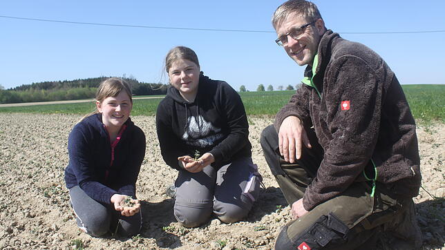 Der Girls Day macht es möglich: Myla Endler und Ronja Schilling (von links) knien auf einem Süßlupinenfeld. Im Herbst werden diese ...