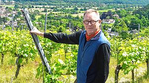 Biowinzer Paulin Köpfer in den Reben im Breisgau. Backpulver helfe gut gegen Mehltau, berichtet er aus Erfahrung.