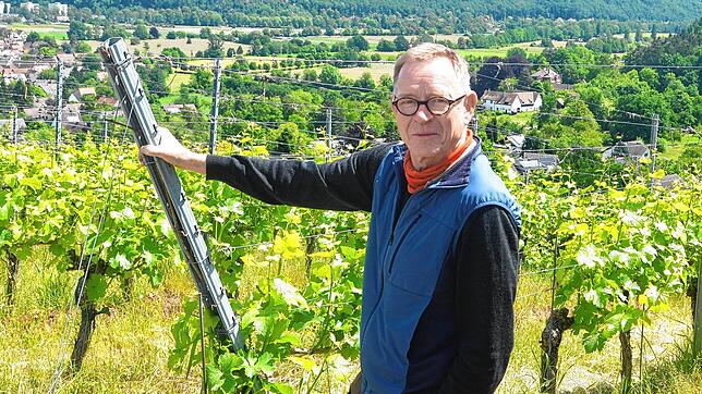 Biowinzer Paulin Köpfer in den Reben im Breisgau. Backpulver helfe gut gegen Mehltau, berichtet er aus Erfahrung.