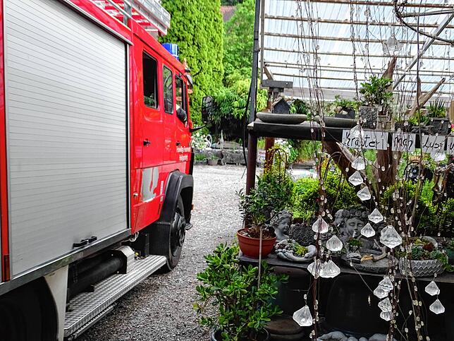 Bild 3: Heiligenberger Feuerwehr übt bei der Hofstetter Mühle