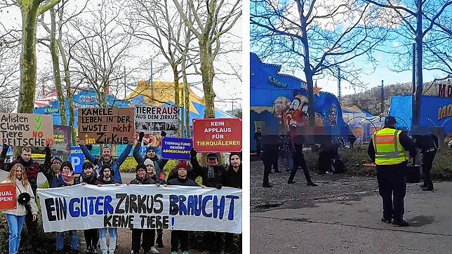 Tumult vor dem Weihnachtszirkus Anfang 2024: Tierschützer demonstrieren regelmäßig vor dem Zirkus im Grütt. Rechts zu sehen: Die ...