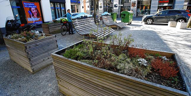 Diesen kleinen Teilbereich auf dem Augustinerplatz hat die Marketing und Tourismus Konstanz GmbH mit Holzliegen und Hochbeeten gestaltet.