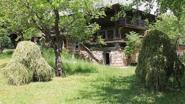Der Haldenhof aus Schonach im Schwarzwald steht heute im Freilichtmuseum Neuhausen ob Eck. Er ist hier &bdquo;Haus des Jahres&ldquo;.
