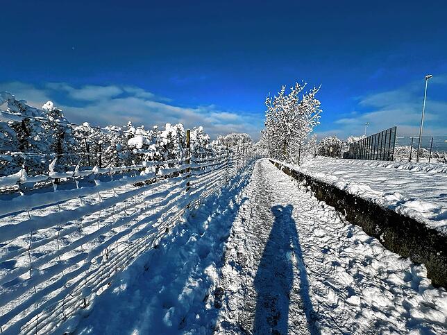 Bild 5: Was für ein Wintereinbruch am Bodensee: Die schönsten Schnee-Bilder vom Wochenende