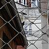 Aus einem Hinterhof in Villingen haben Mitglieder des Tierschutzvereins am Freitag Tauben und deren Nachwuchs befreit.