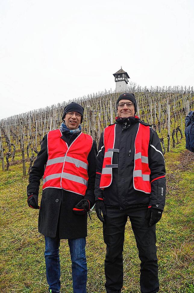 Bild 16: Bilder vom Crosslauf Hegau-Bodensee in den Reben oberhalb der Haltnau