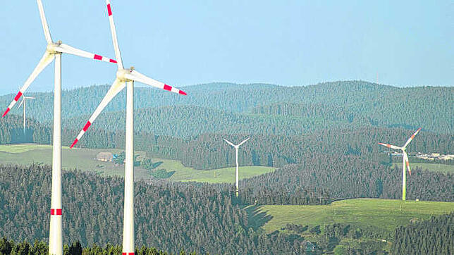Bild : Neuer Windpark geplant