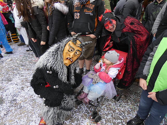 Bild 2: Bilder vom Narrentreffen in Albbruck
