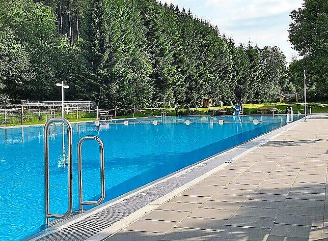 Im solarbeheizten Bregtalbad in Furtwangen können Schwimmer im 50-Meter-Becken ihre Runden ziehen. Das Foto wurde 2019 aufgenommen.